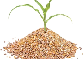 Chất Chậm Tan Phân Bón