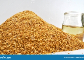Distillers Dried Grains with Soluble (DDGS)