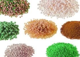 Ngành Lọc Dầu & Phân Bón