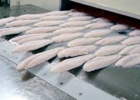 Quy Trình Chế Biến Hải Sản