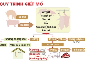 Quy Trình Chế Biến Thịt