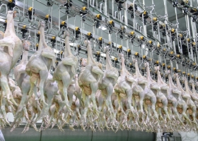 Ngành Thịt & Thủy Sản