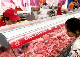 NGUỒN CUNG THỊT HEO TẾT 2020