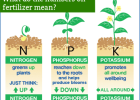 Chất Hổ Trợ Phân Bón