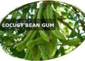 Locus Bean Gum - LBG