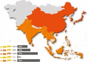 Hấp Thụ Độc Tố