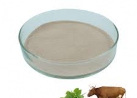 Tinh Dầu Kinh Giới - Ore Premix 