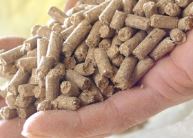 Chất Hổ Trợ Ép Viên