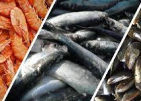 Ngành Chế Biến Thủy Sản